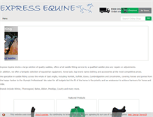 Tablet Screenshot of expressequine.co.uk